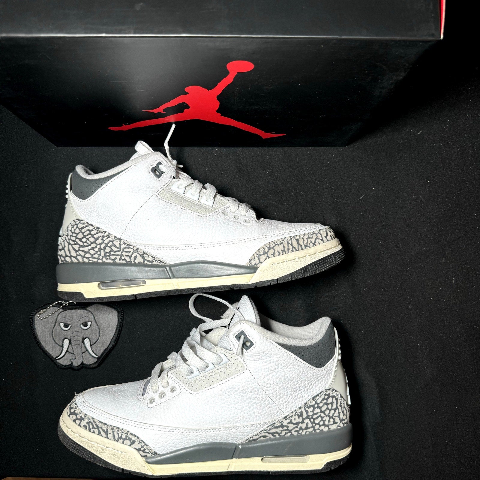 Air Jordan 3 Retro GS Hide N Sneak Kids Shoes - Size 7