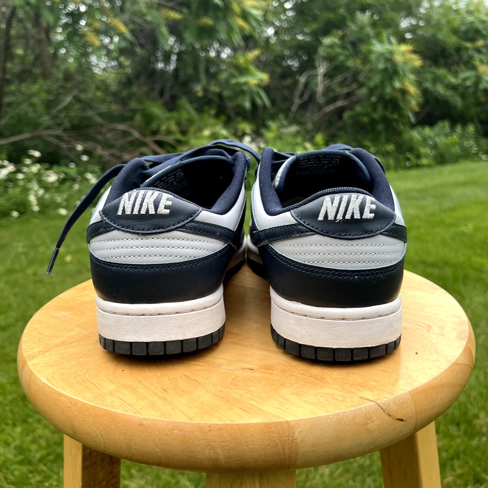 Nike Dunk Low Georgetown Men's Shoes - Size 11