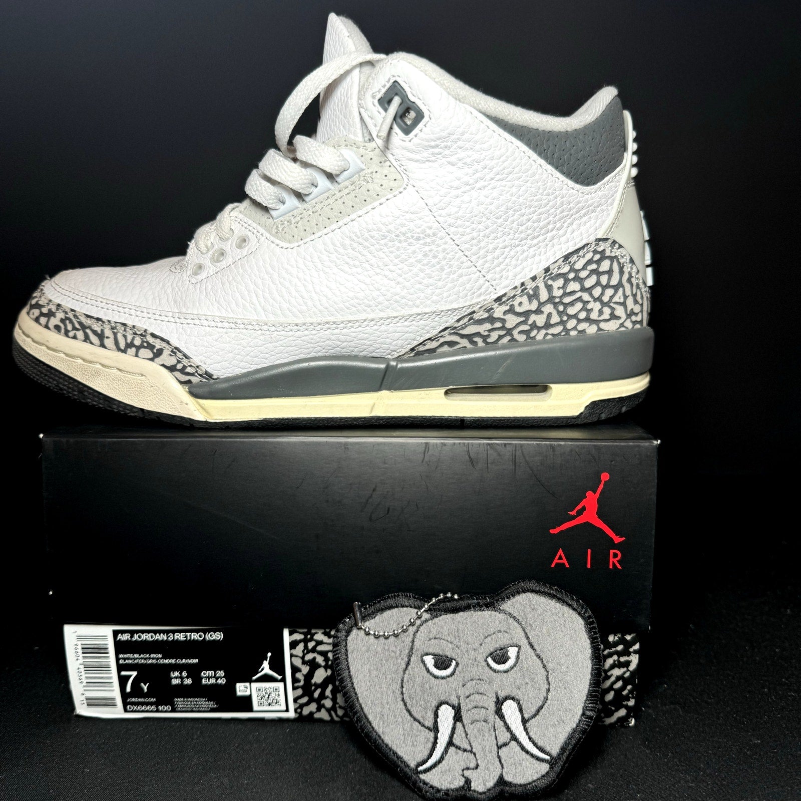 Air Jordan 3 Retro GS Hide N Sneak Kids Shoes - Size 7