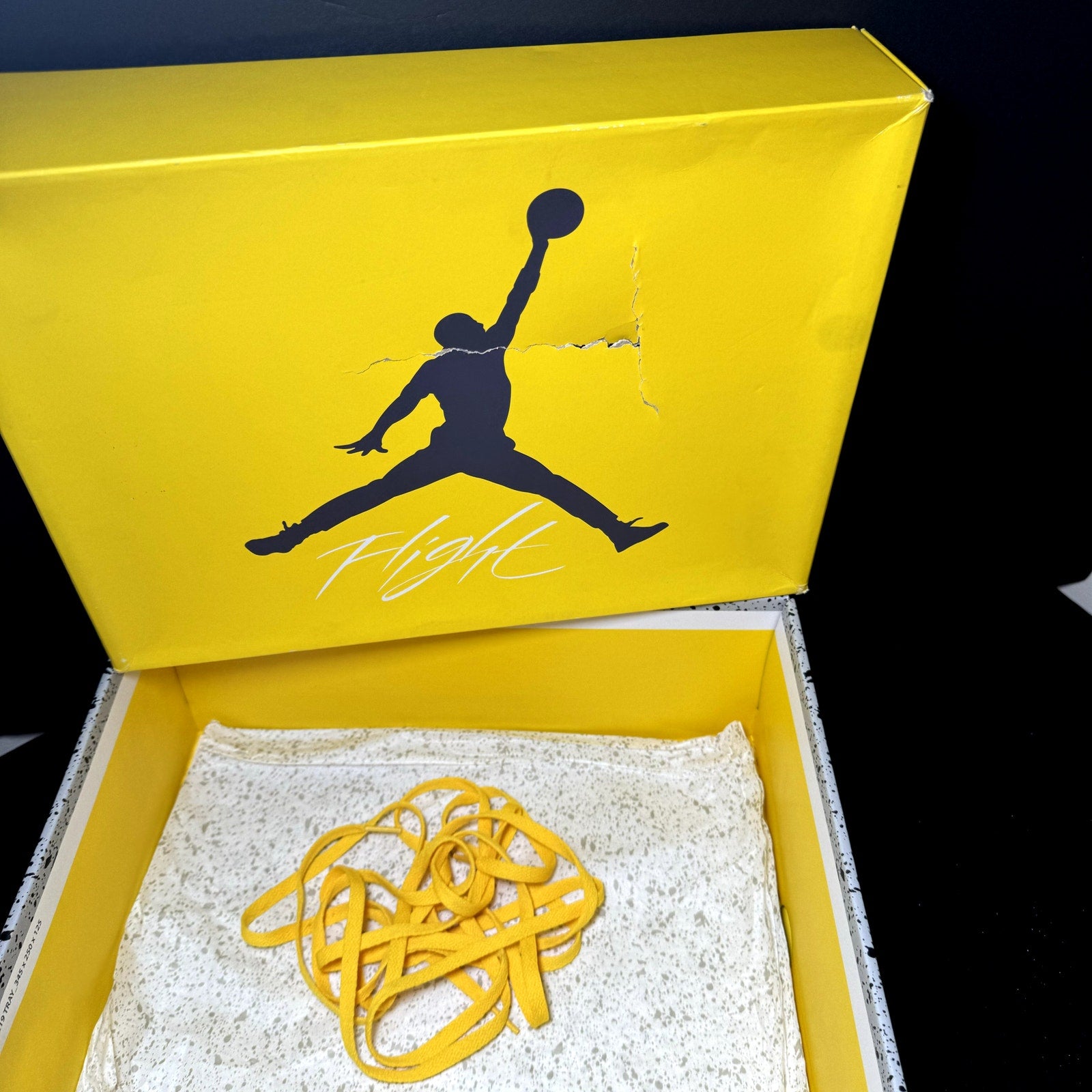Air Jordan 4 Retro Lightning 2021 Men's Shoes - Size 11