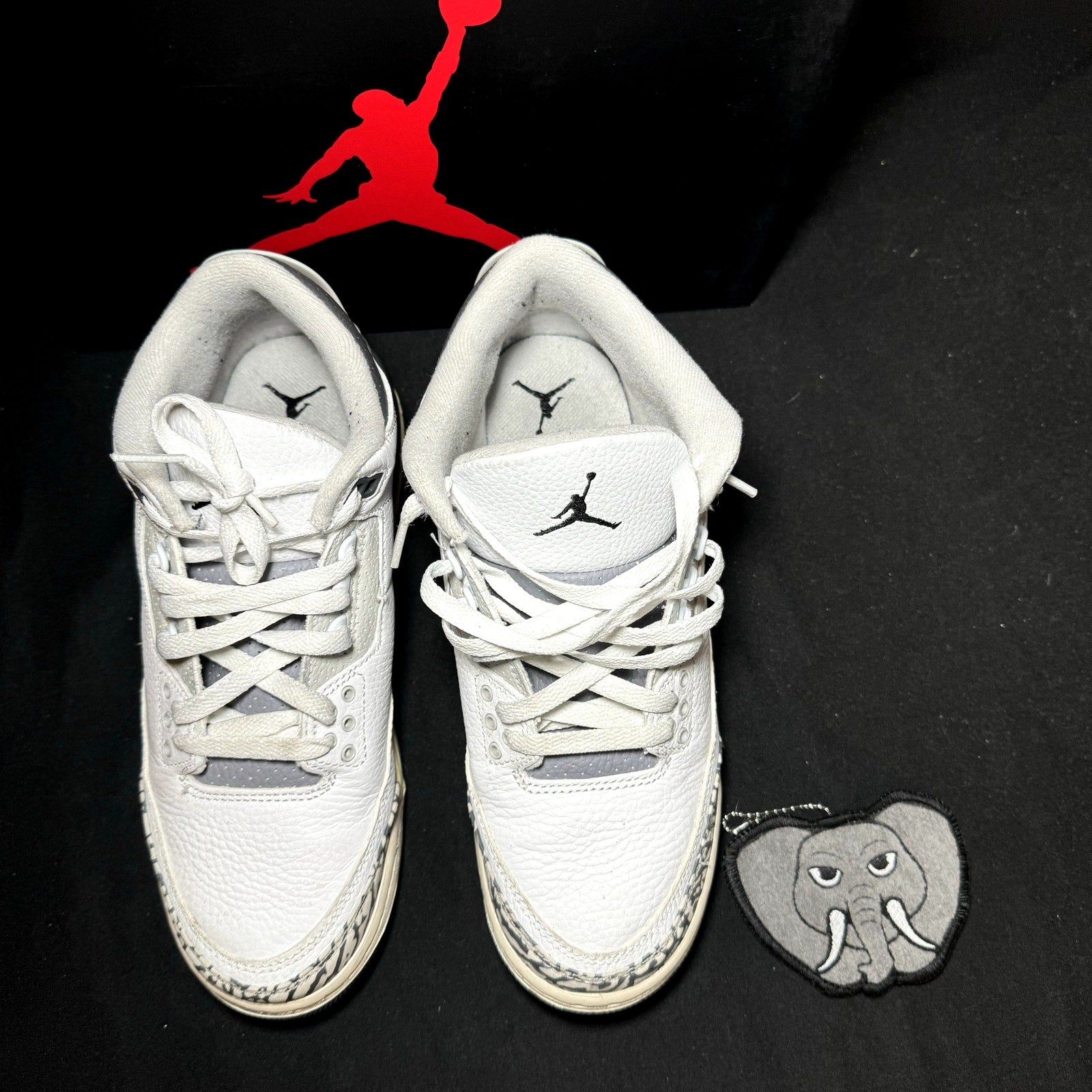 Air Jordan 3 Retro GS Hide N Sneak Kids Shoes - Size 7