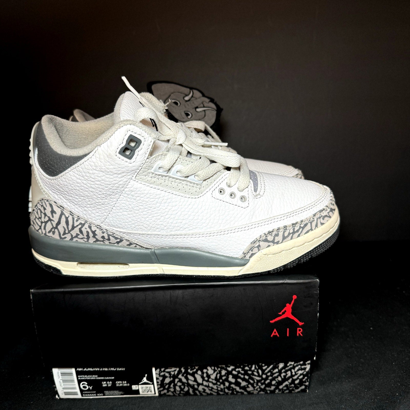 Air Jordan 3 Retro GS Hide N' Sneak Kids Shoes - Size 6