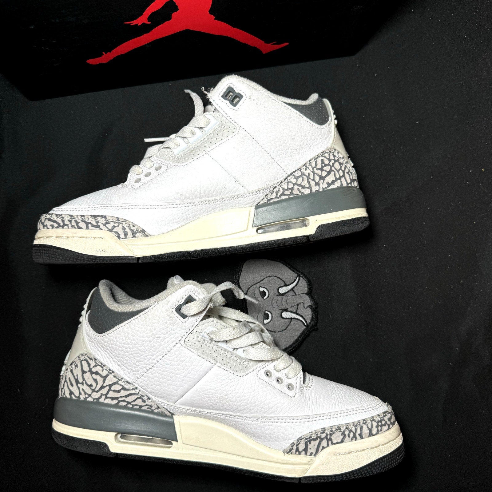 Air Jordan 3 Retro GS Hide N' Sneak Kids Shoes - Size 6