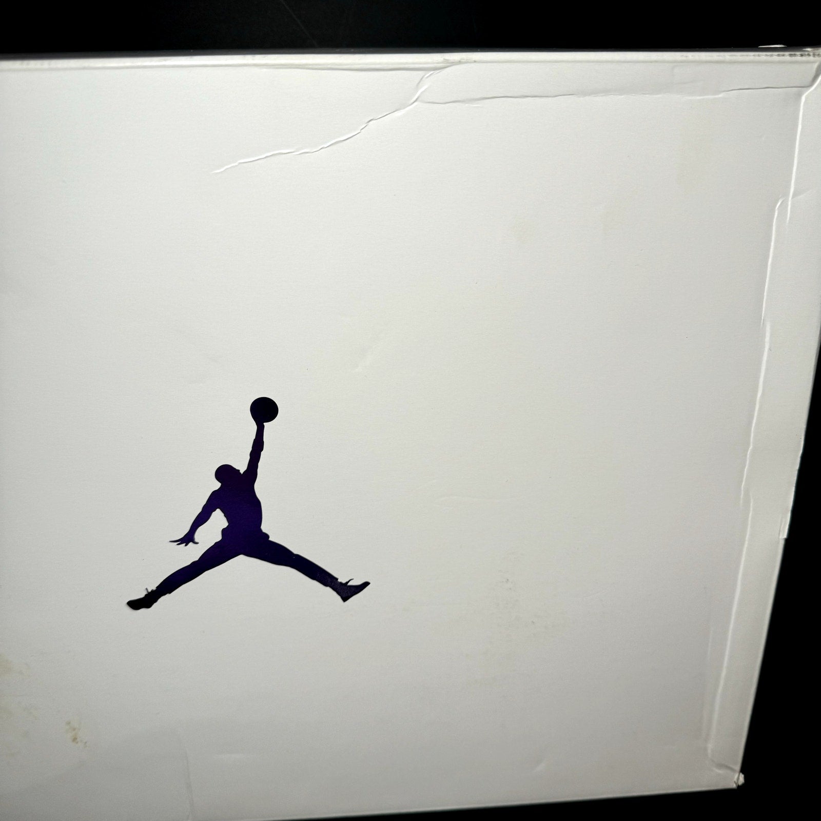 Air Jordan 4 Retro Purple Metallic Men's Shoes - Size 11.5